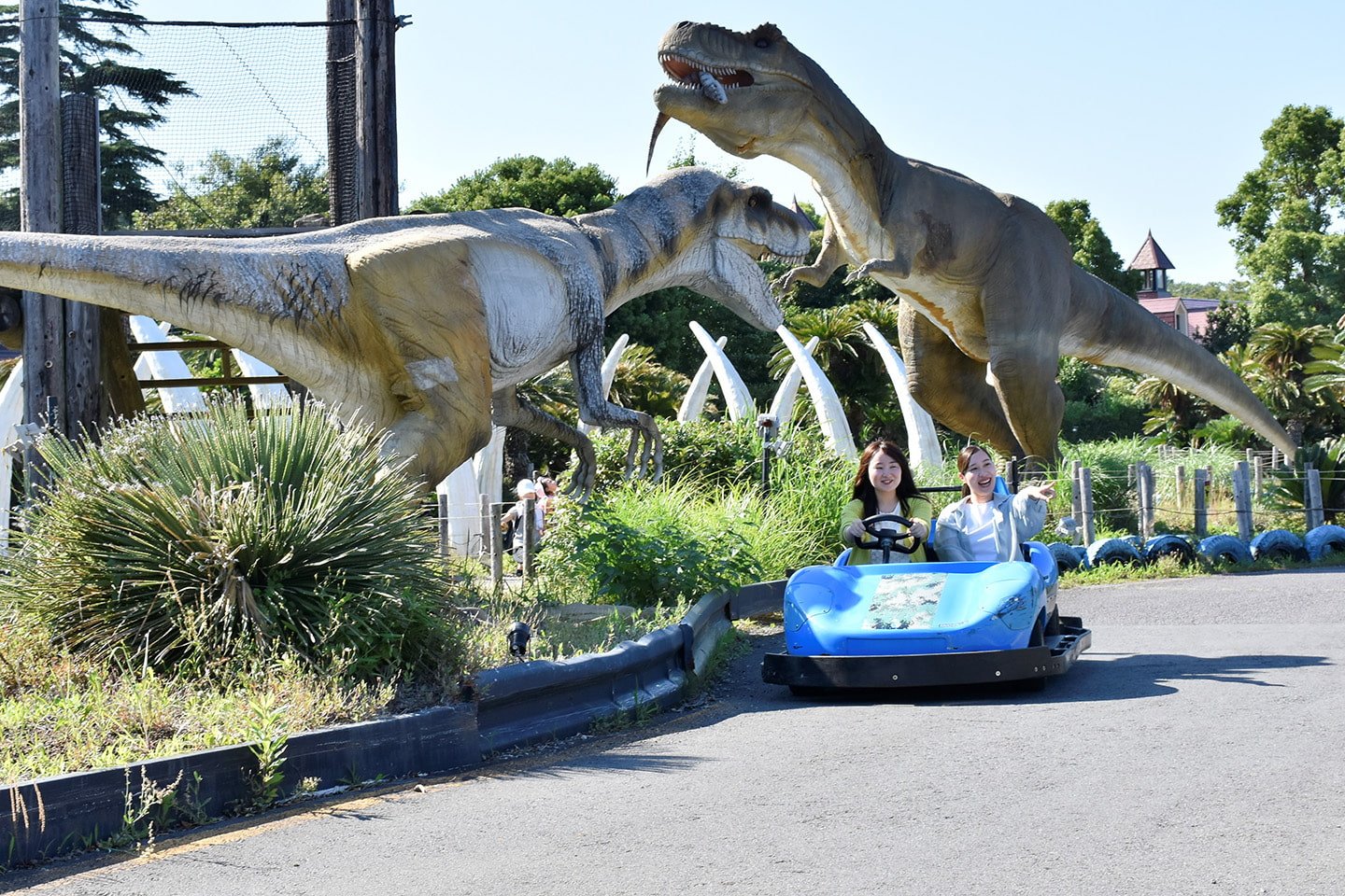 🎡 이즈 그란파루 공원(이즈구란파루코엔) 이미지 5